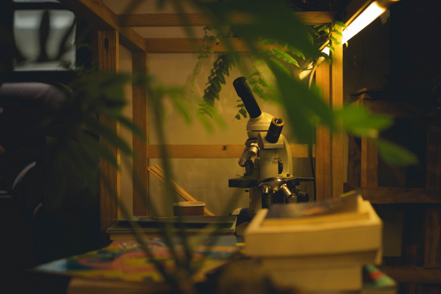 Estudios clínicos más destacados sobre el CBD